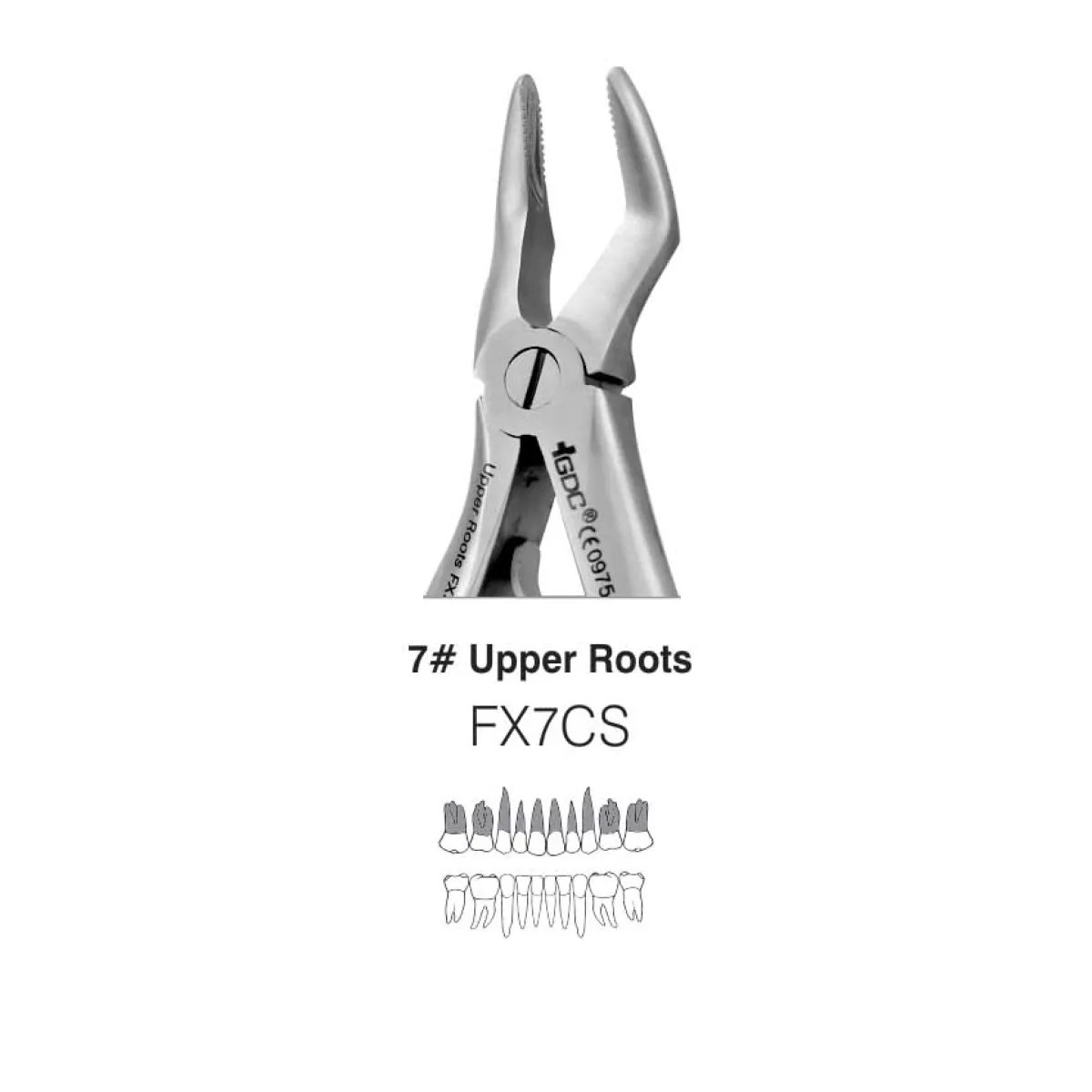 Buy GDC Extraction Forceps Upper Roots Pedo Standard FX7CS At Lowest